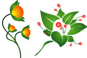 Vectors - Flowers set